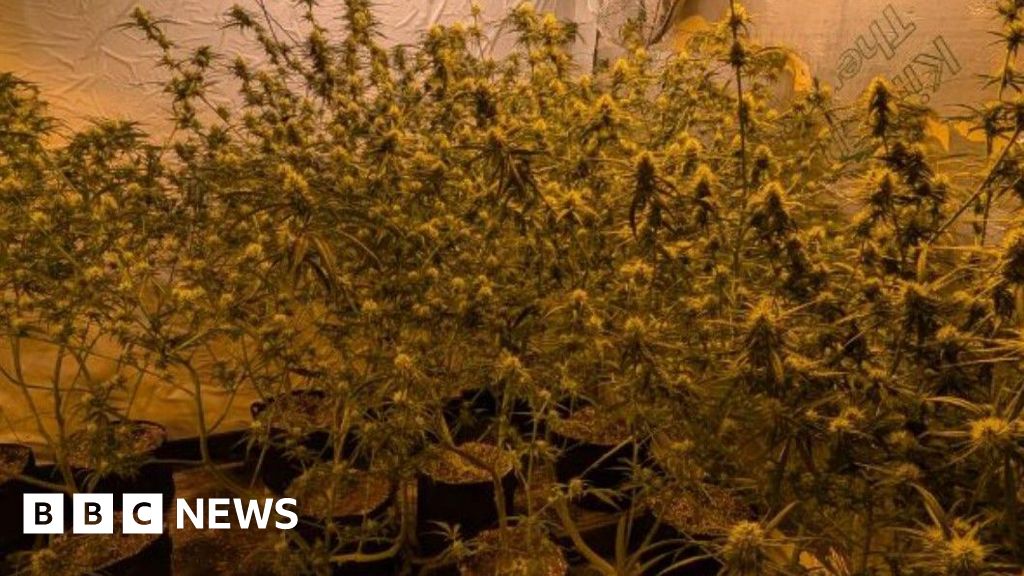 Police Arrest 50+ Seize Drugs, Weapons Across Cumbria, Northumbria, Newcastle