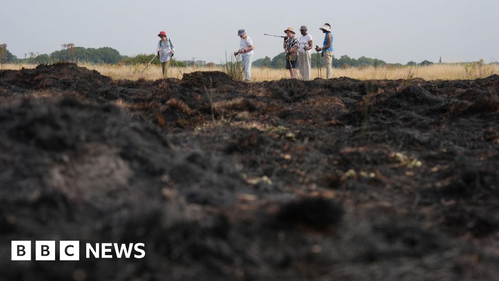Prevent grass fires by clearing your garden - LFB
