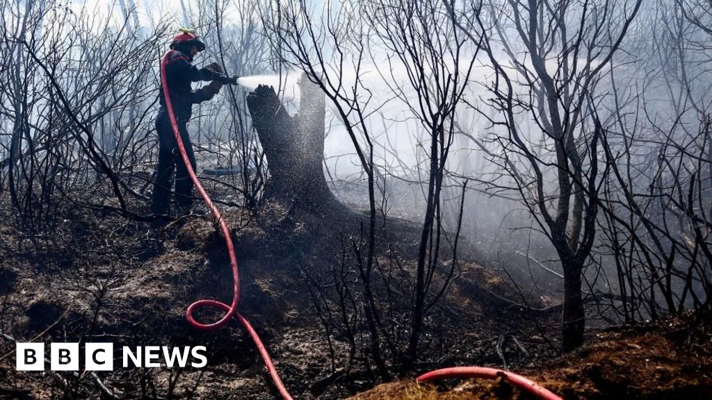 Frances largest wildfire for 75 years still not under control
