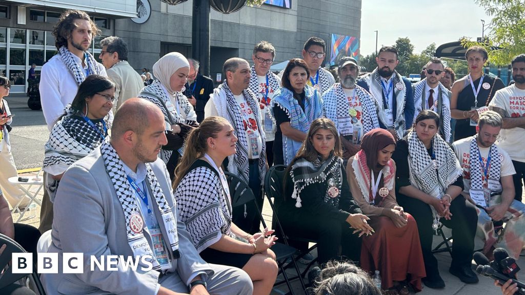 Partai Demokrat menolak permintaan para demonstran untuk menunjuk seorang Palestina sebagai juru bicaranya