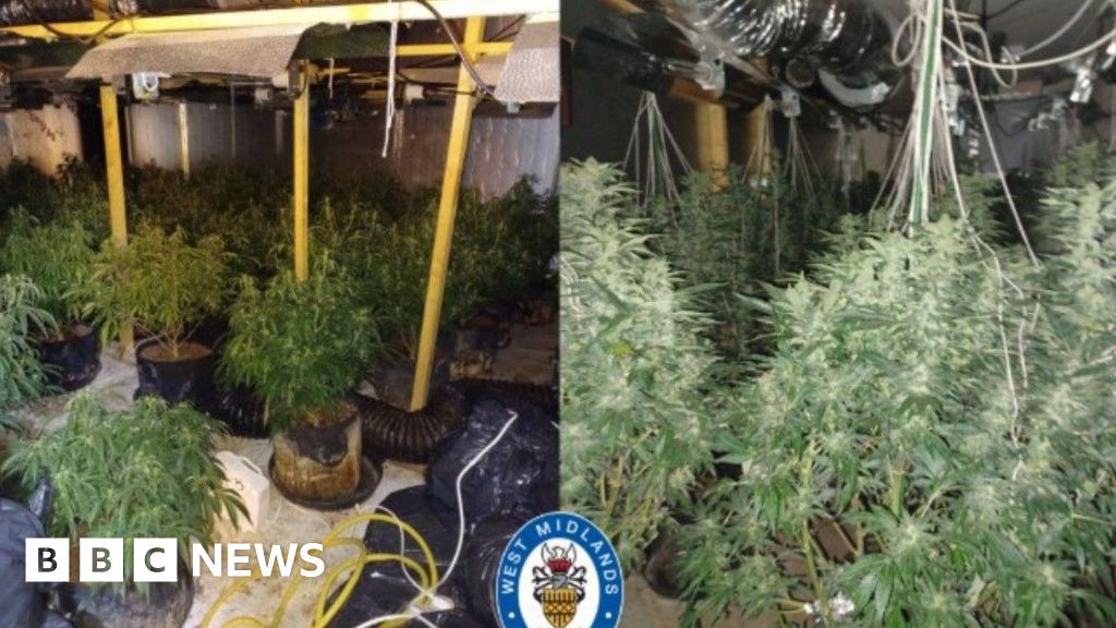 Police make multiple arrests in cannabis farm busts across UK