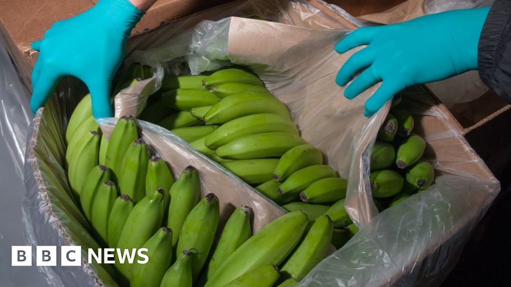 The gangster brought down by a shipment of bananas