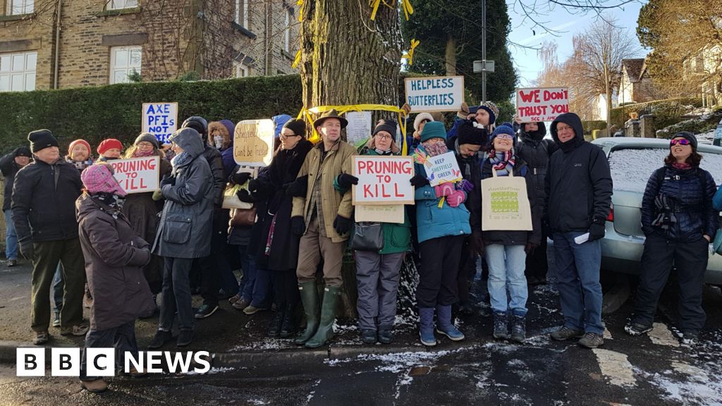 bbc.co.uk - Lucy Ashton - Design unveiled for Sheffield street tree campaigners plaque - BBC News
