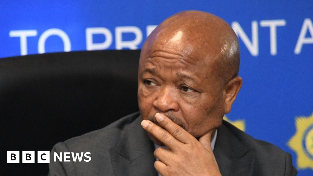 SA police minister suspended over organised crime allegations