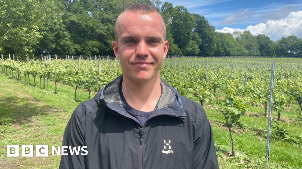bbc.co.uk - Marcella Whittingdale - How the wine industry could offer Sussex youth job opportunities