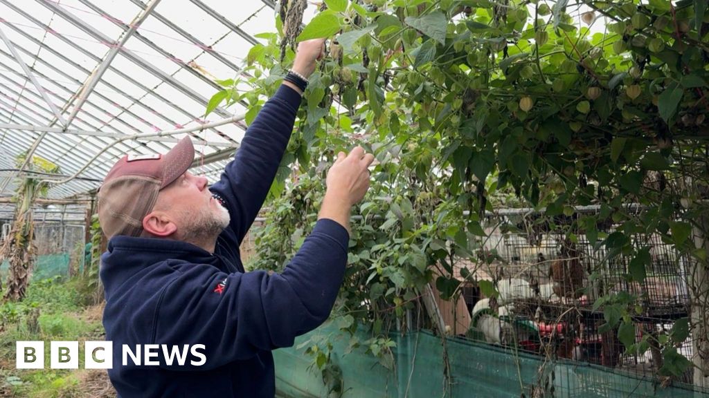bbc.co.uk - Courtney Sargent - Attitude change 'key to improving food security in Guernsey' - BBC News