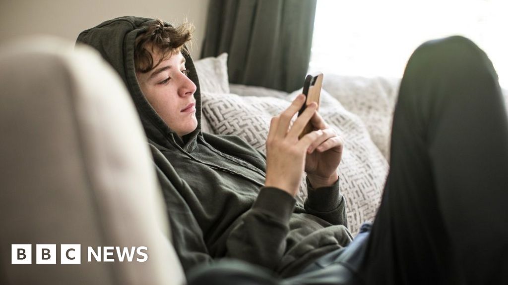 Influencers radicalising boys in ‘terrifying’ way, say police