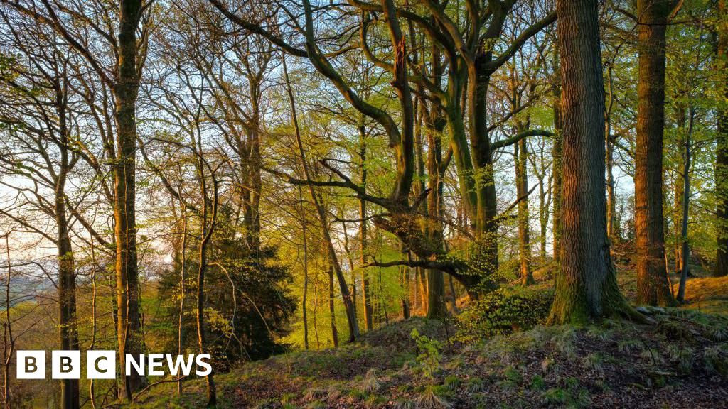 Nature recovery zones inspired by Attenborough