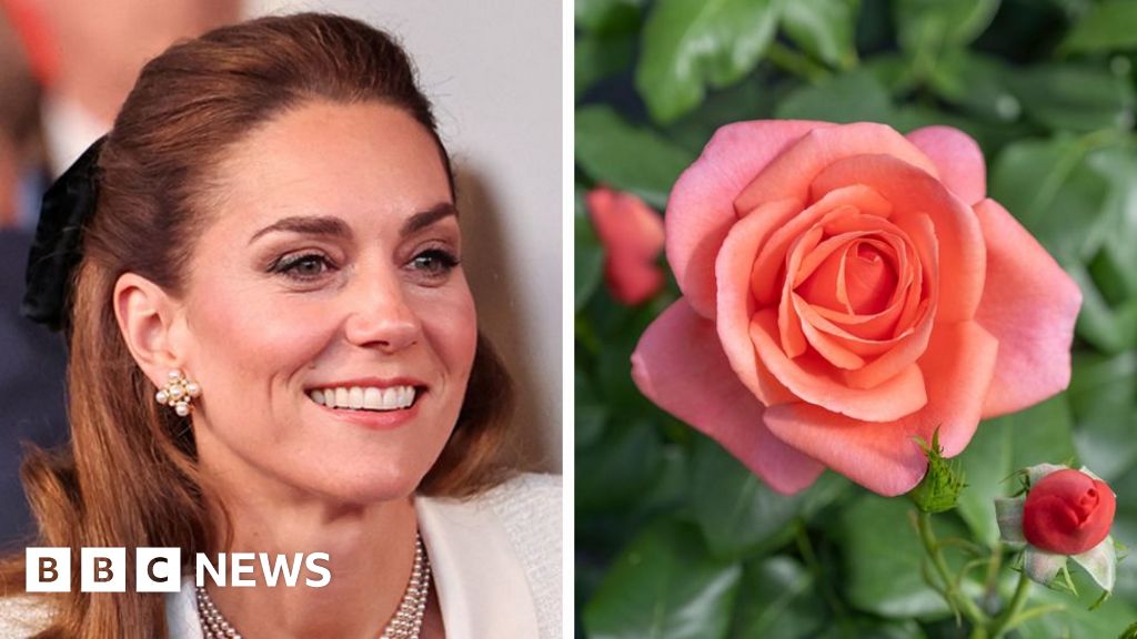 Rose named after Princess of Wales to celebrate 'power of nature'