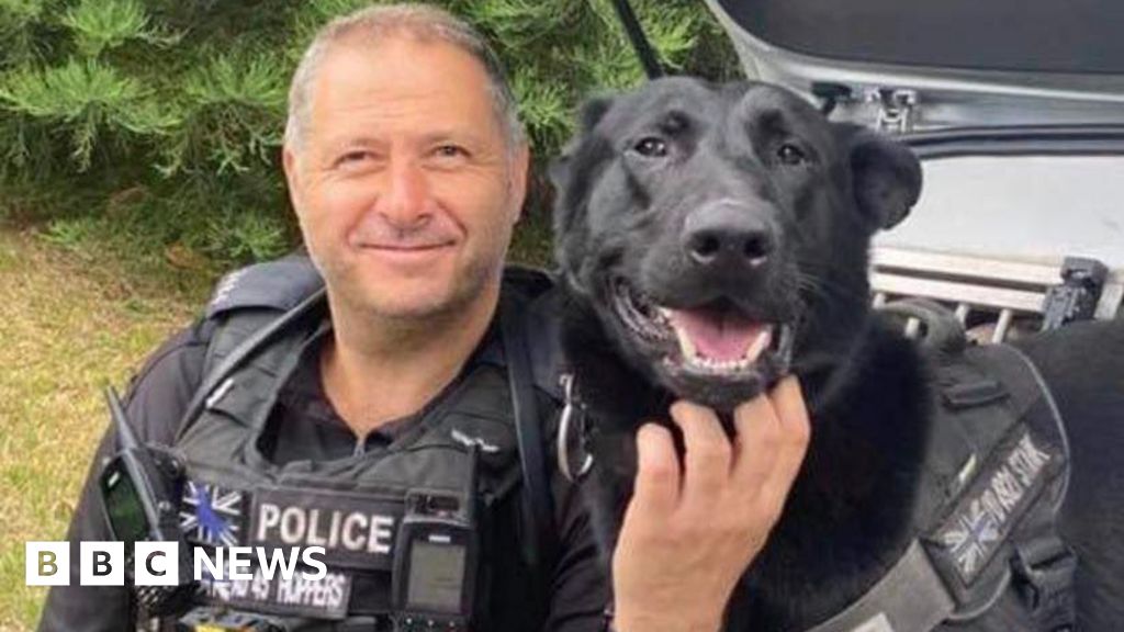 Tributes to fearless award-winningWest Midlands Police dog Stark Curated by Alerts360