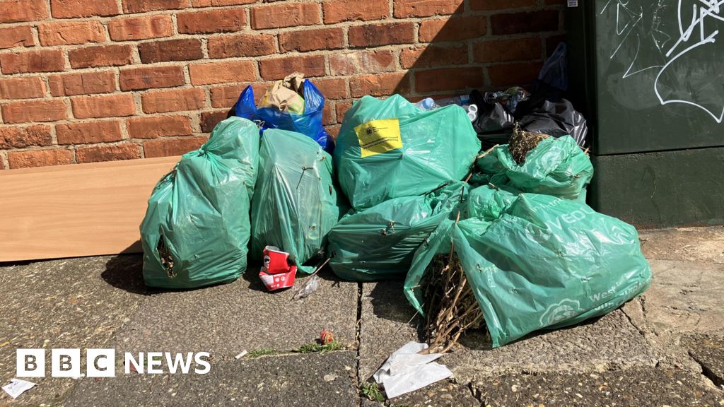 Northumberland flytipping fines may rise from £400 to £1000 BBC News