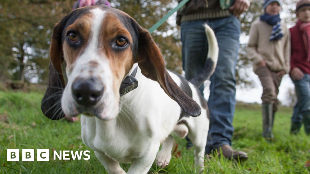 Boise Resumes Seasonal Dog Off-Leash Program