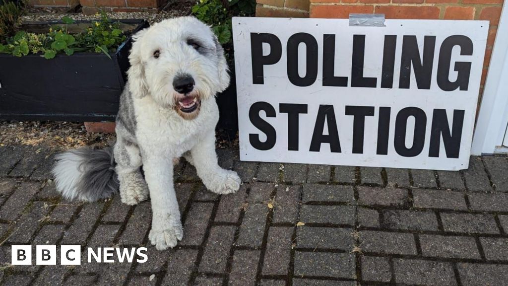 In pictures: Snake and a horse join dogs at polling stations