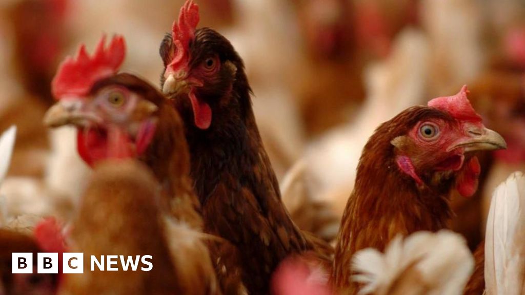 Bird flu restrictions imposed throughout 4 counties