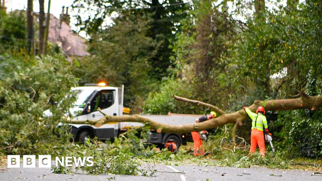 Power cuts and cancelled flights amid Storm Ashley disruption