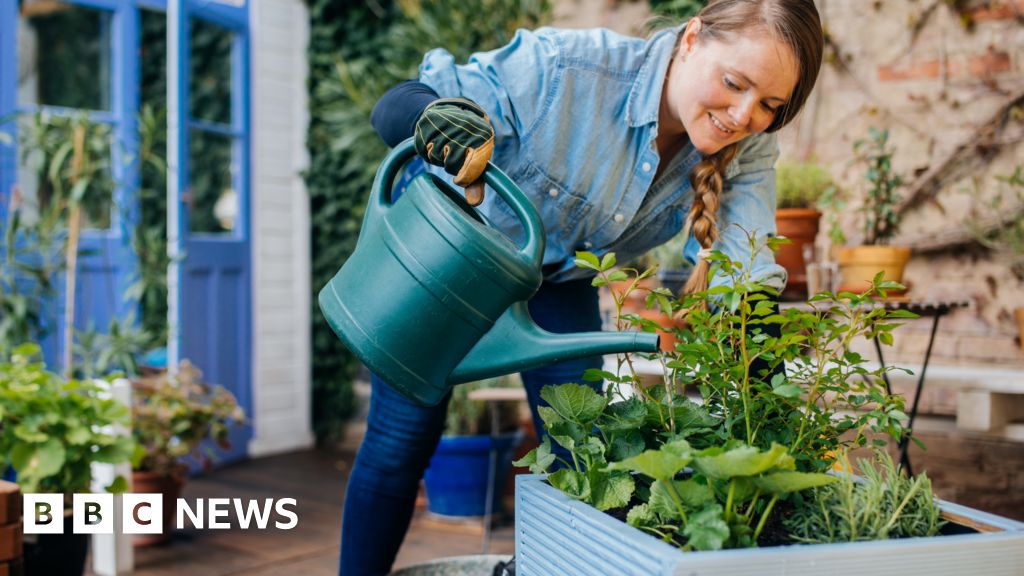 Four ways your plants could be affected by hot spring weather