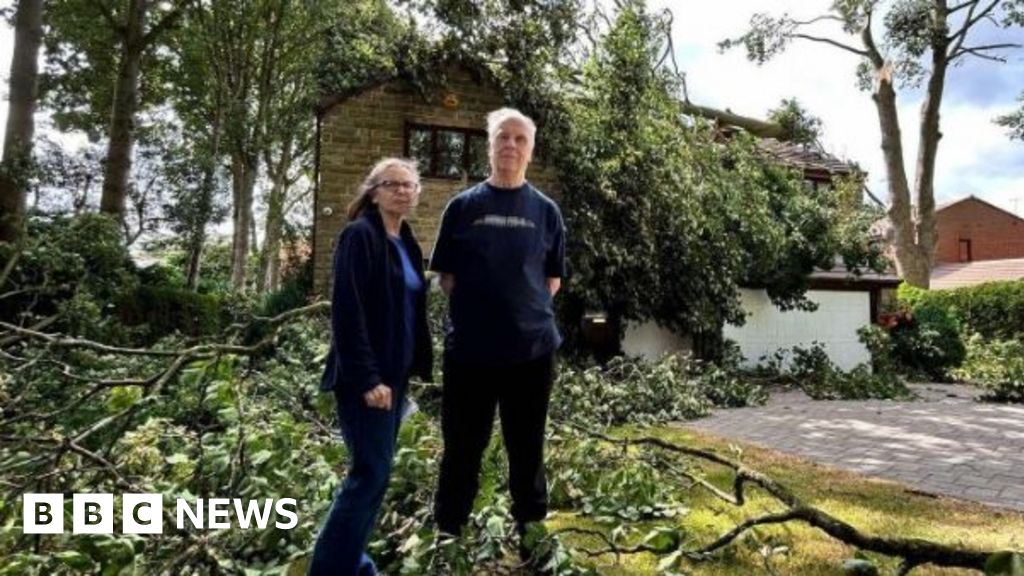 During the storm Lilian a tree falls through the roof of the house