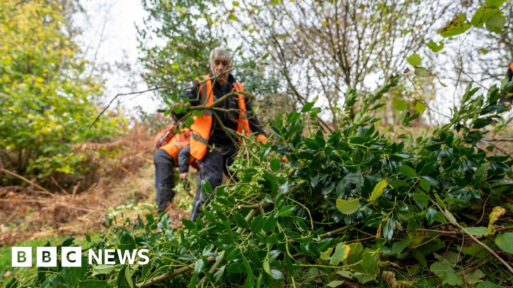Northumberland National Park secures volunteer funding