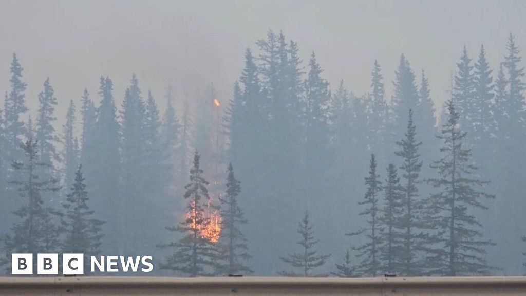 
                            'Monster' wildfire may have destroyed up to 50% of town of Jasper