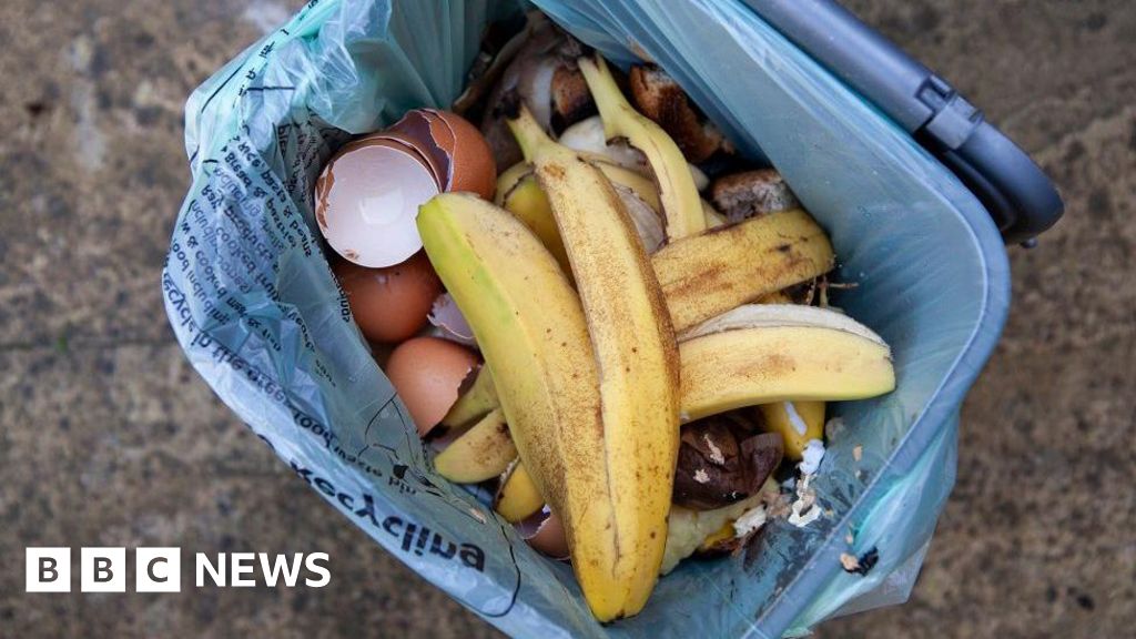 Advice given in Hampshire on how to prevent food waste liners splitting – BBC