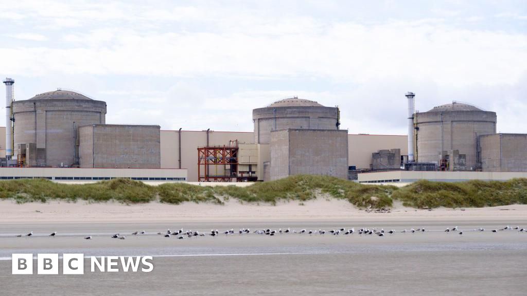 Jellyfish swarm forces French nuclear plant to shut
