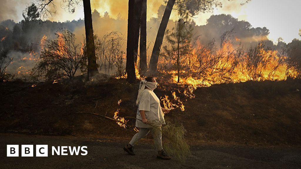 EU sends wildfire help to Spain as death toll rises