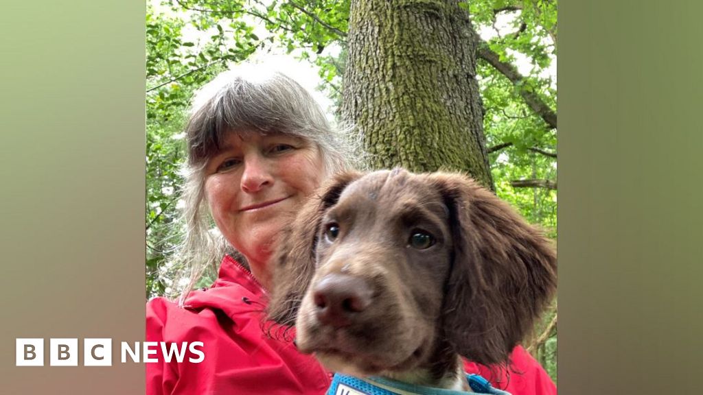 Forest of Dean dog walker attacked by bird of prey BBC News