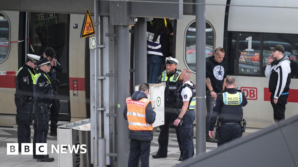 Hamburg stabbing: Twelve injured in knife attack at railway station