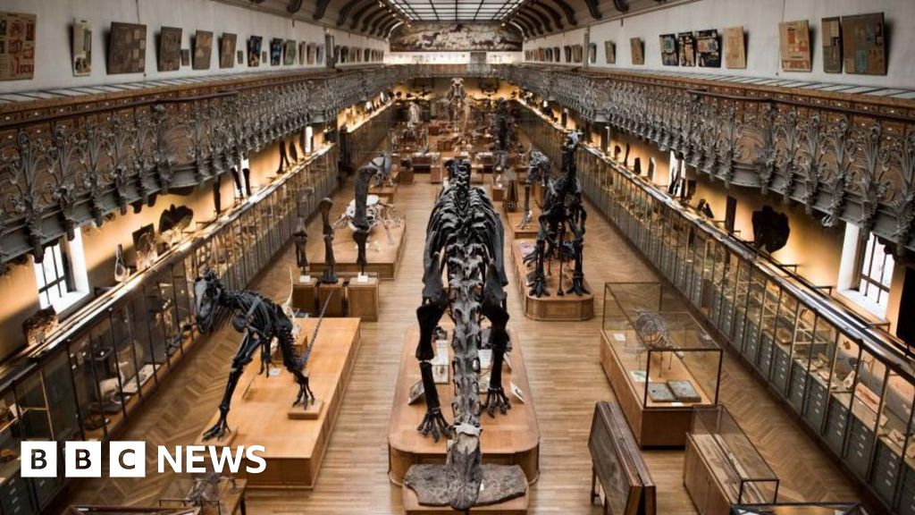 Woman charged after 1.5m euros of gold stolen from Paris museum thumbnail