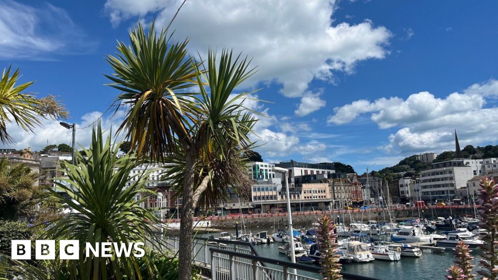 Political tensions affecting Torbay Council morale