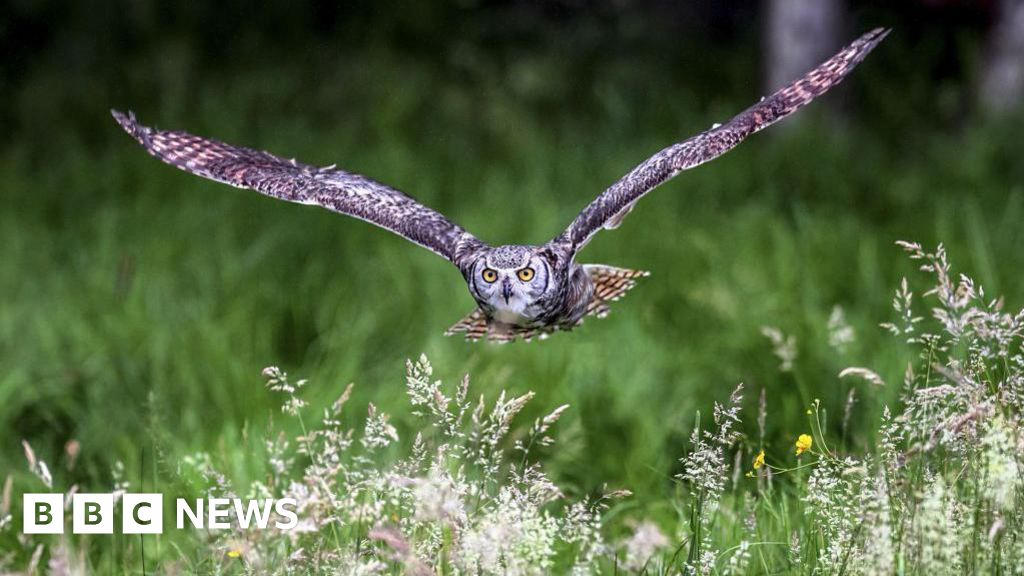 Nearly £500k offered to support green projects in Maidstone