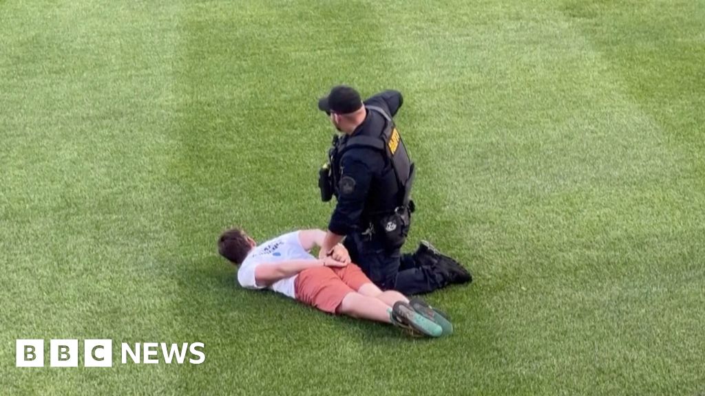 Protesters run onto field at Congressional Baseball Game