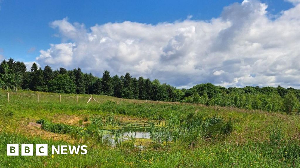 bbc.co.uk - Wendy Middleton - Sheffield 'citizen scientist' photos used to reduce Limb Brook flooding