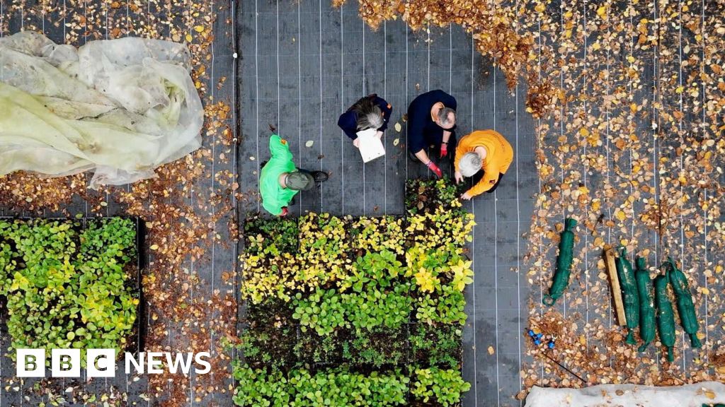 M6 Tebay tree growing project 'changed my life'