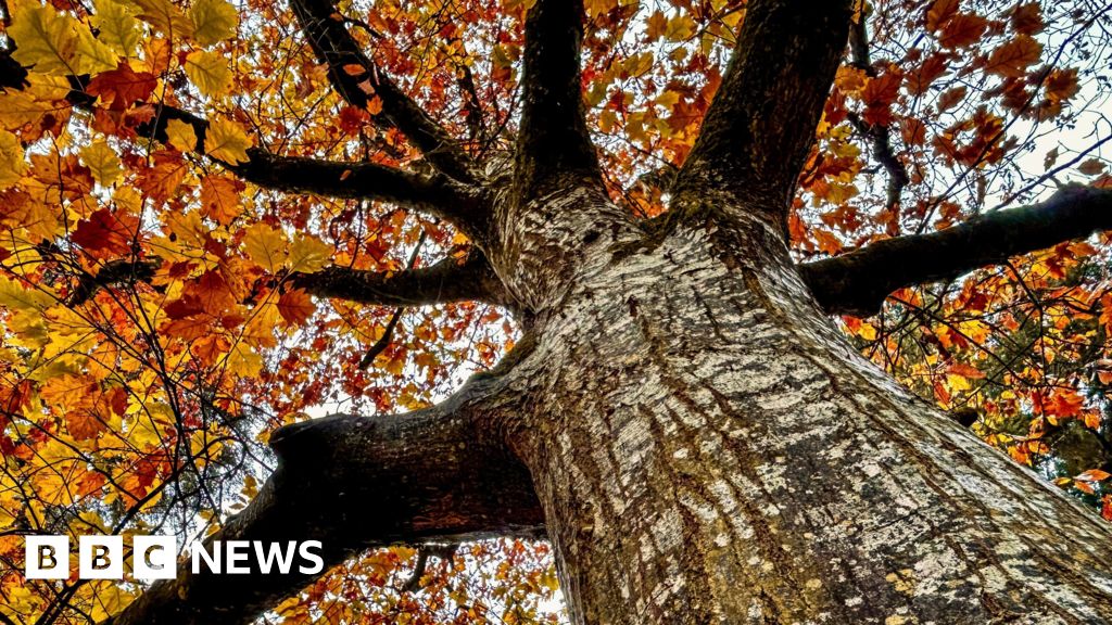 Clocks to go back as autumn weather takes hold