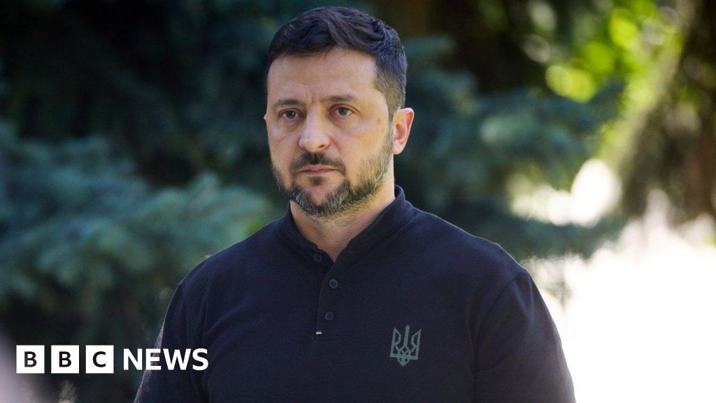 Ukraine war: Volodymyr Zelensky rejects proposals for buffer zone to end fighting