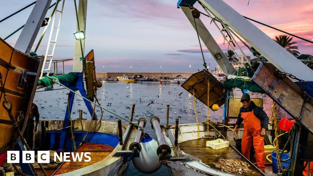 UK proposes wider ban on destructive bottom trawling
