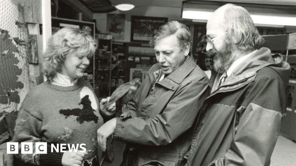 David Attenborough at 100: A Century of Wild Adventures and Environmental Advocacy — image 2