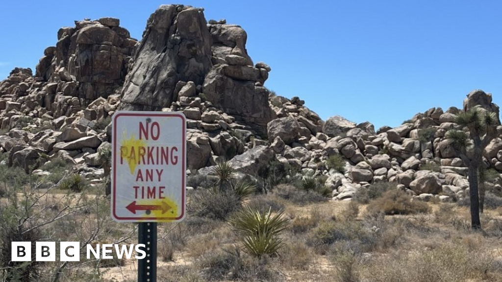 German tourists allegedly defaced Joshua Tree National Park