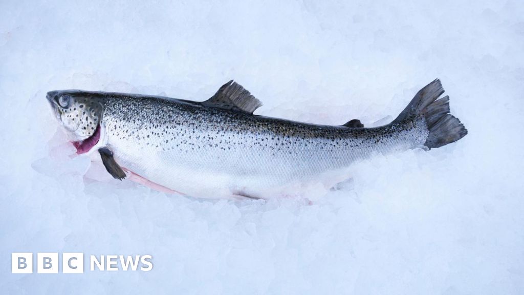 bbc.co.uk - Andrew Thomson - Union calls for fish farm health and safety review - BBC News