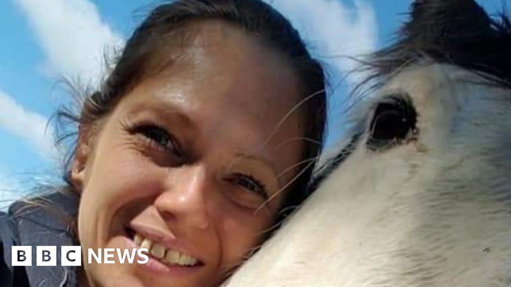 Fireworks led to death of horse says Bedfordshire owner
