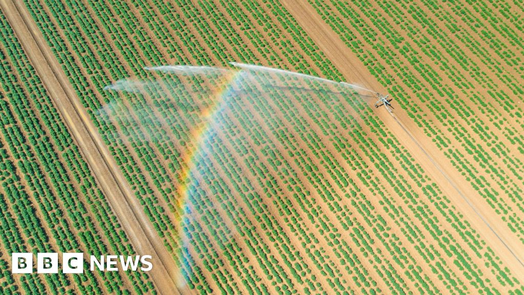 More than 150 farms in England caught using local water illegally