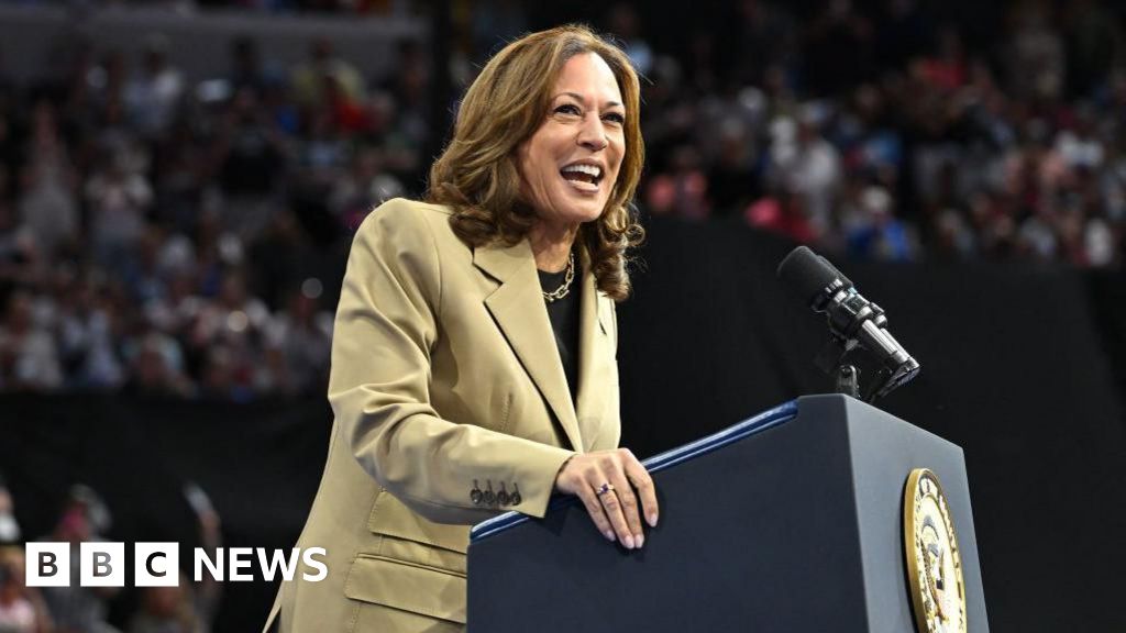 How Kamala Harris’s ‘weird and free’ messaging is striking through