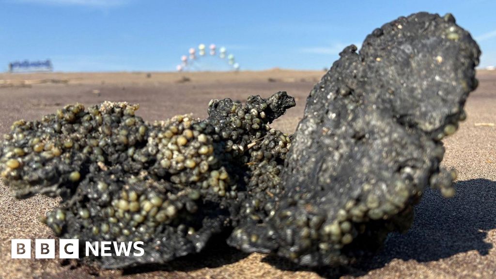 North Sea ship crash: Concern in Skegness as pellets wash up thumbnail