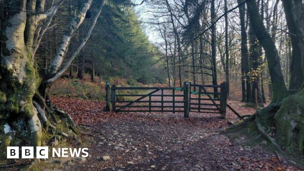 Quantock Hills plan can be commented on by Somerset residents Quantock Hills plan can be commented on by Somerset residents