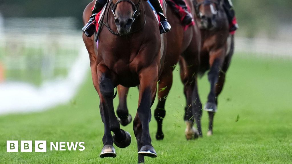 ギャングは競馬詐欺の犠牲者を詐欺する探偵としてポーズをとった