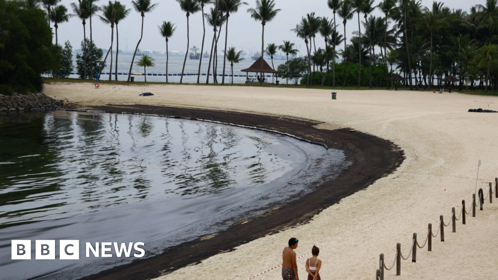 Singapur stara się oczyścić plaże pokryte wyciekami ropy