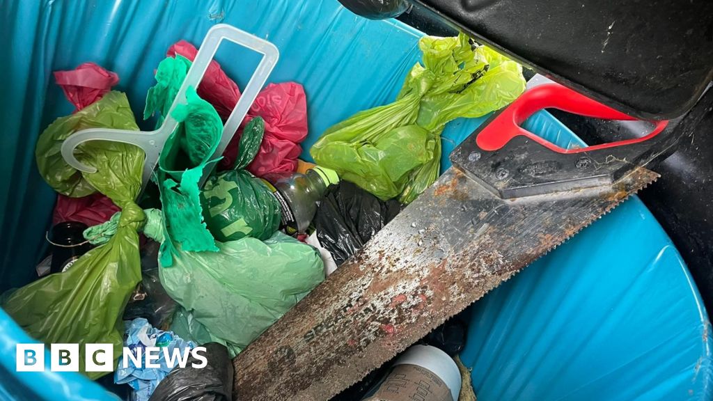 Anglesey Porpoise found on beach with its head cut off