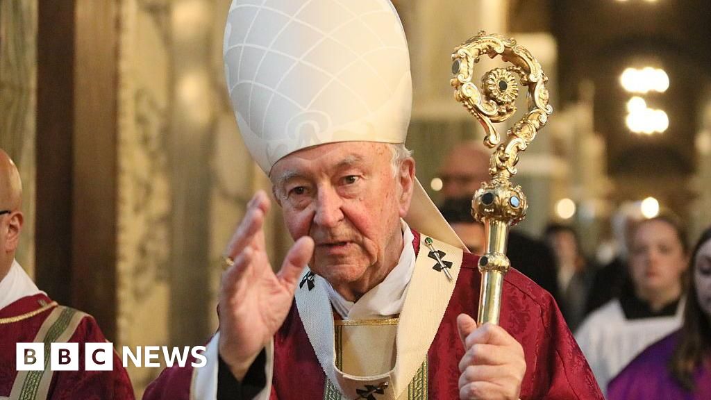 Cardinal reveals what it was like to be part of conclave to choose Pope Leo
