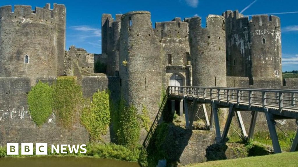 Meet the Caerphilly by-election candidates